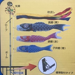 鯉のぼり