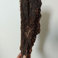 板付用コルク