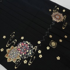 超ロングused女子袴　デザインプリント黒の画像