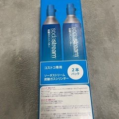 コストコ　炭酸ガスシリンダー2本セット