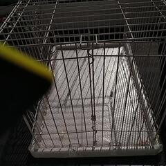 ☆ペットケ゚ージ  値下げしました☆の画像