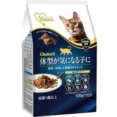 猫用フード