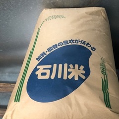 ※受け渡し者決定済　令和6年産コシヒカリ 玄米10kg