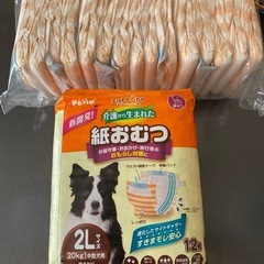 ペティオ　介護から生まれた紙おむつ２Ｌ６袋とオマケ