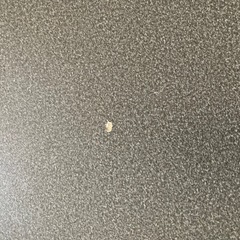 2/22まで！テーブルの画像
