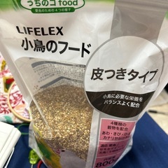 鳥のご飯