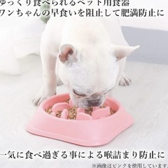 早食い防止食器 犬用品 の画像