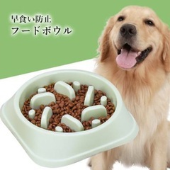 早食い防止食器 犬用品 の画像