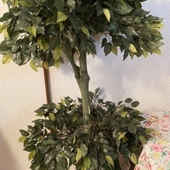 人工観葉植物　大型　ベンジャミン　150cm