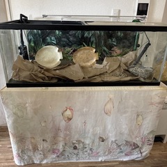 120cm水槽の中古が安い！激安で譲ります・無料であげます｜ジモティー