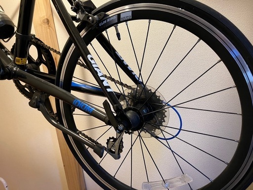 giant idiom2 室内保管