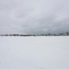 お手伝いします