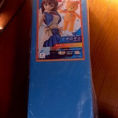 [値下げしました][新品未開封]ホロライブ　ときのそらドール　あ...