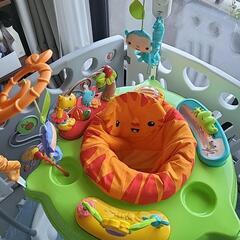 レインフォレスト・ジャンパルーの画像