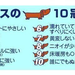 すべらないワン！ワックス【セール品】の画像