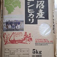 令和６年産　魚沼産コシヒカリ！　美味しいお米を食べませんか？　