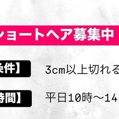 【無料】ショートヘアカットモデル募集中！！（平日限定）