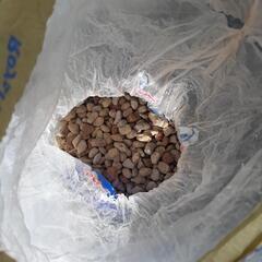 園芸用　石2種類、土混ざり石、藻やコケ落とし剤の画像