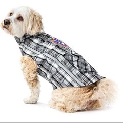 犬用 レインコート　未使用品の画像