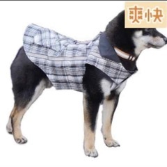 犬用 レインコート　未使用品の画像