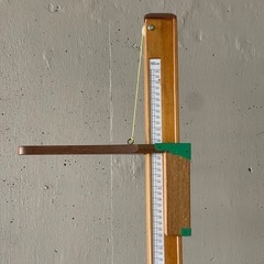 ツツミ HC-A アヒル 園児用分銅式木製身長計1.6m TTMの画像