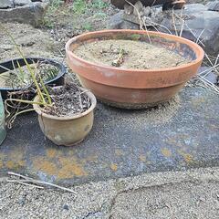 植木鉢まとめての画像