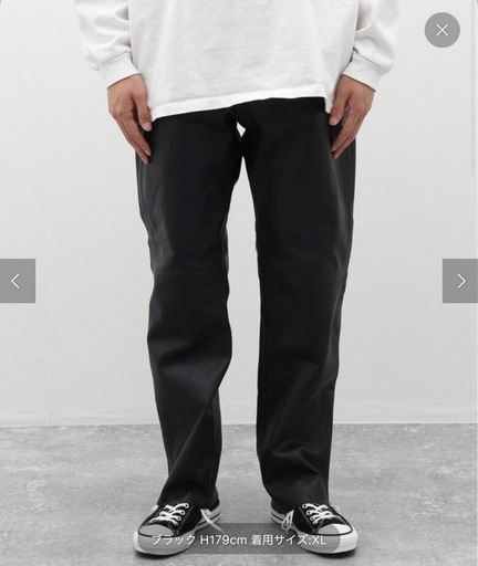 JOURNAL STANDARD TRISECTバッファローレザーパンツ