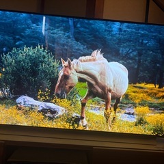 LG有機ELテレビ55インチ