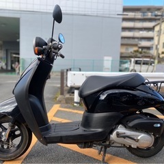 【原付サブスクサービスも好評受付中❗️】ホンダ トゥデイ AF67 ブラックFI車の画像