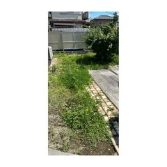 ★うさぎの便利屋さん★お困り事ございませんか？ - さいたま市