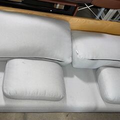 コアラソファーの画像