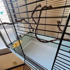 鳥かご　バードケージ　イタリア　ファープラスト　文鳥　インコの画像