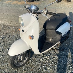 お話中　YAMAHA ビーノ　