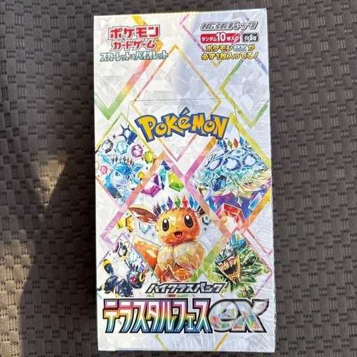 【最終価格】テラスタルフェス　バトルパートナーズ　BOX