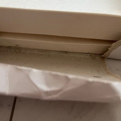 書道道具セットの画像