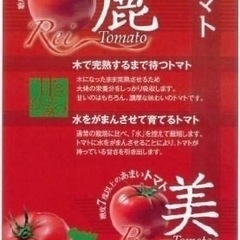 糖度8℃愛知県豊橋産フルーツトマト【美】8キロ入荷しました✨100g小分け量り売り致しますの画像