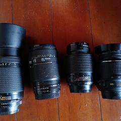 ニコンD-300の画像