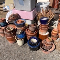 植木鉢いろいろの画像