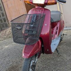ヤマハ　ミント　旧車　1YU  　原付　50cc　　