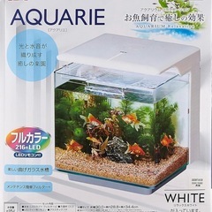 やりとり中【中古汚れ有】水槽　ジェックス アクアリエ リラックスホワイトの画像