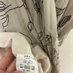 ワンピースの画像