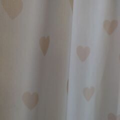 ④レースカーテン　2月末〆切の画像