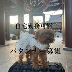パタンナー 、裁縫、ミシン 経験ある方募集 スタッフ