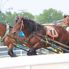 ＜2/23(日)！＞未経験・WワークOK！電話対応無の受付◎競馬...