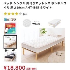 アイリスオオヤマベット