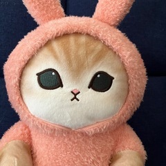 ぬいぐるみ　今月で処分