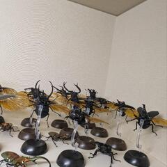 いきもの大図鑑  カブトムシ  クワガタムシ等 多数の画像