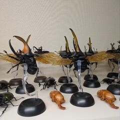 いきもの大図鑑  カブトムシ  クワガタムシ等 多数の画像