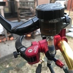 アメリカンダックス フルレストア改の画像