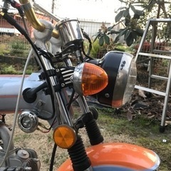 アメリカンダックス フルレストア改の画像